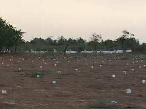  Commercial Land 900 Sq.ft. for Sale in Mandvi, Kutch