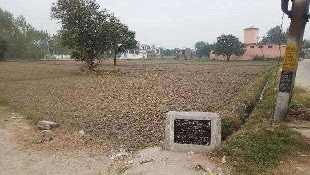 40-bigha-farm-land-for-sale-in-biharigarh-saharanpur-rei815904