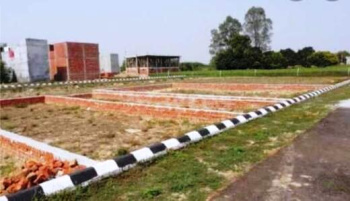  Residential Plot for Sale in Delhi More, Darbhanga