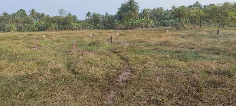  Residential Plot 2160 Sq.ft. for Sale in Joka, Kolkata