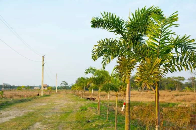  Residential Plot 2160 Sq.ft. for Sale in Joka, Kolkata