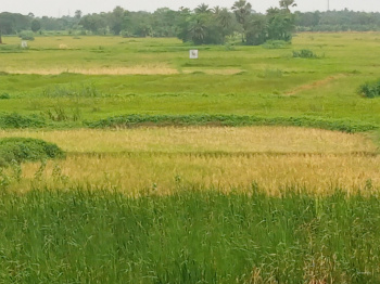  Residential Plot for Sale in Baruipur, Kolkata