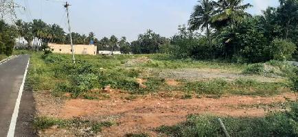  Agricultural Land for Sale in Karumathampatti, Coimbatore