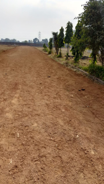  Residential Plot 1800 Sq.ft. for Sale in Kohka Bhilai, Durg