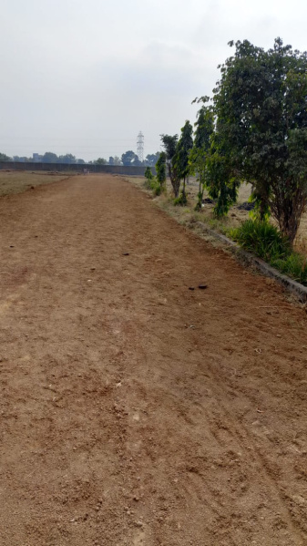 Residential Plot 1800 Sq.ft. for Sale in Kohka Bhilai, Durg