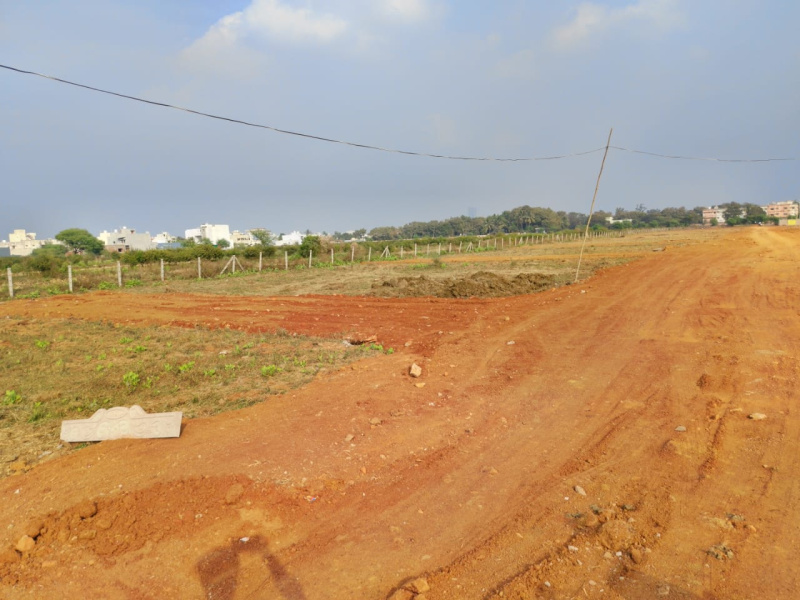  Residential Plot 3000 Sq.ft. for Sale in Kohka Bhilai, Durg