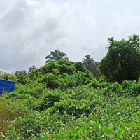  Residential Plot for Sale in Socorro, Porvorim, Goa