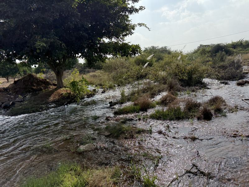  Agricultural Land 27 Sq.ft. for Sale in Garladinne, Anantapur