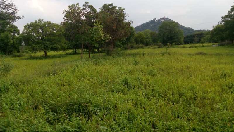  Agricultural Land 9 Acre for Sale in Reddiyarchatram, Dindigul