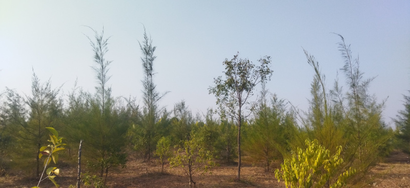 2 BHK 121 Sq. Yards Farm House for Sale in Yacharam Mandal, Hyderabad