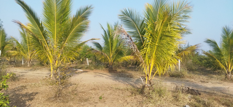 2 BHK 121 Sq. Yards Farm House for Sale in Yacharam Mandal, Hyderabad