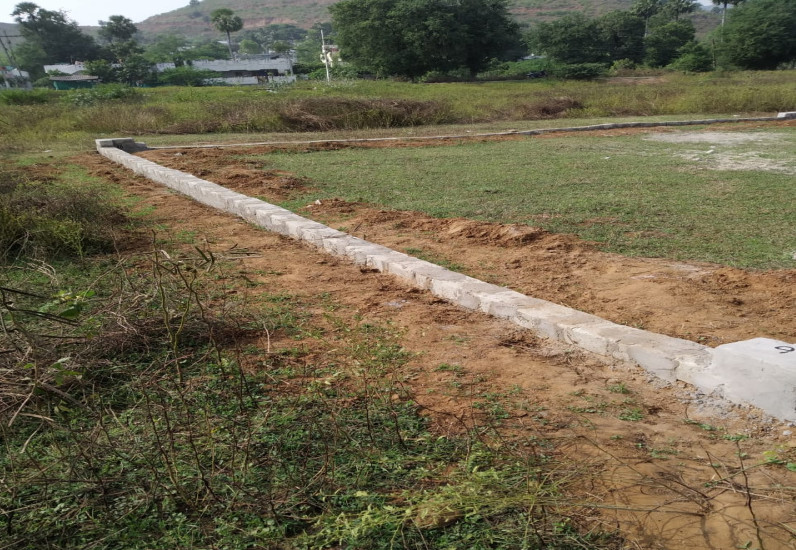 Residential Plot 100 Sq. Yards for Sale in Anakapalle, Visakhapatnam