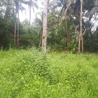  Residential Plot for Sale in Navelim, Margao, Goa