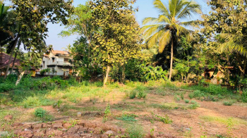  Residential Plot for Sale in Borim, Ponda, Goa