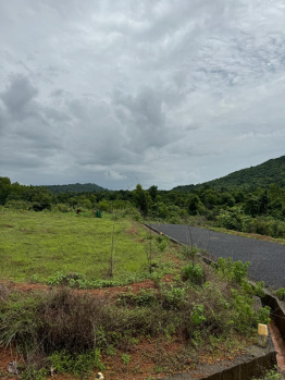  Residential Plot for Sale in Pernem, Goa