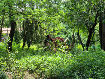  Residential Plot for Sale in Sodiem Siolim, North Goa, 