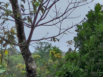  Residential Plot for Sale in Salvador Do Mundo, Bardez, Goa