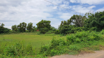  Residential Plot for Sale in Saligao, Goa