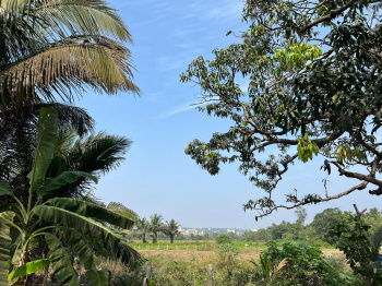  Residential Plot for Sale in Guirim, North Goa, 