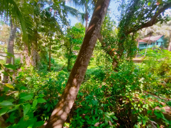  Residential Plot for Sale in Agonda, South Goa