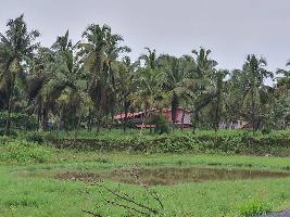  Residential Plot for Sale in Colva, South Goa, 