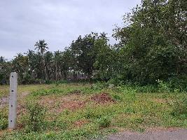  Residential Plot for Sale in Arlem, Margao, Goa