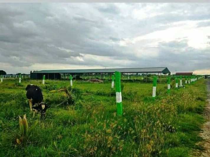  Agricultural Land 10000 Sq.ft. for Sale in Acharapakkam, Chengalpattu