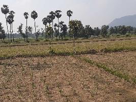  Agricultural Land for Sale in Vellore Road, Tiruvannamalai