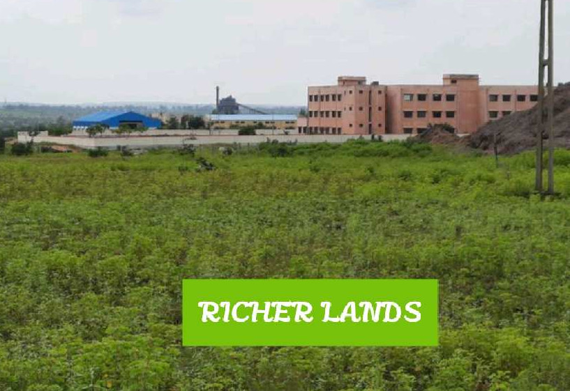 Farm Land for Sale in Chincholi, Gulbarga (REI1055816)