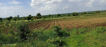  Agricultural Land for Sale in Anantagiri Hills, Vikarabad