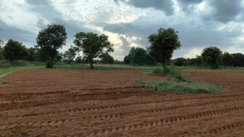  Agricultural Land for Sale in Mucherla, Hyderabad
