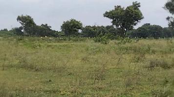  Industrial Land for Sale in Shabad, Rangareddy