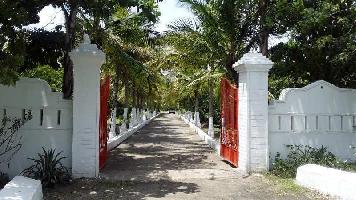  Agricultural Land for Sale in Tindivanam, Chennai