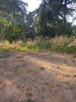  Residential Plot for Sale in Konaje, Mangalore
