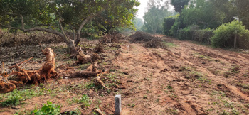  Agricultural Land for Sale in Omr, Chennai