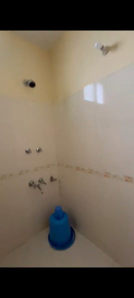  1000 Sq.ft. Studio Apartment for Rent in Aleo, Manali