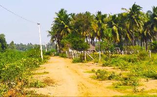  Residential Plot for Sale in Aranthangi, Pudukkottai