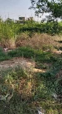  Residential Plot for Sale in Sector 33 Hisar