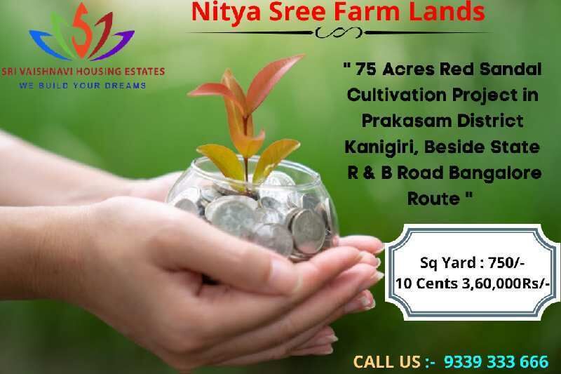  Farm House 10 Acre for Sale in Kanigiri, Prakasam