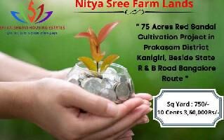  Agricultural Land for Sale in Eluru Road, Vijayawada