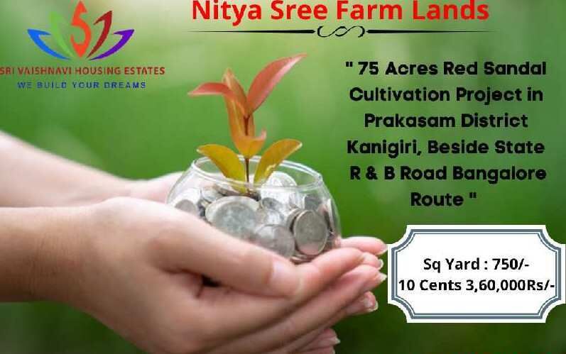  Agricultural Land 10 Acre for Sale in Eluru Road, Vijayawada