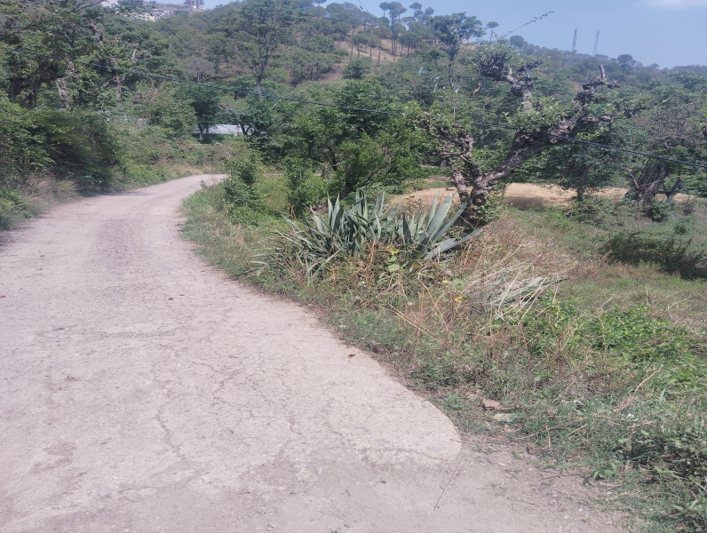 Commercial Land 45000 Sq.ft. for Sale in Chail, Solan