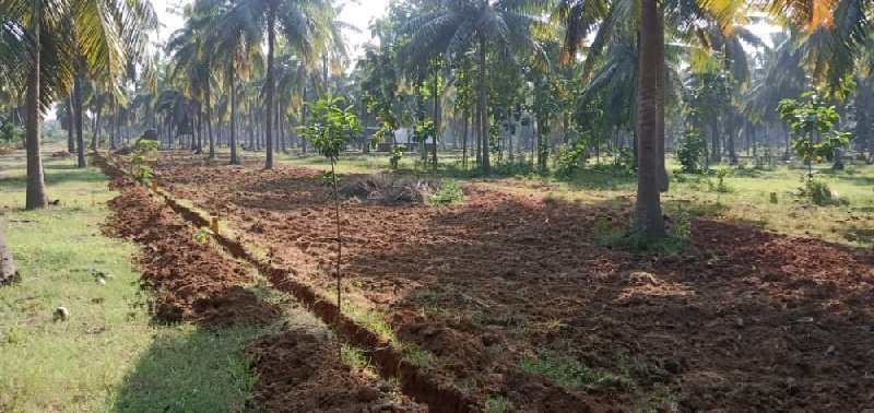  Residential Plot 100 Sq. Yards for Sale in Pusapatirega Mandal, Vizianagaram