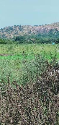  Agricultural Land for Sale in Devanahalli, Bangalore
