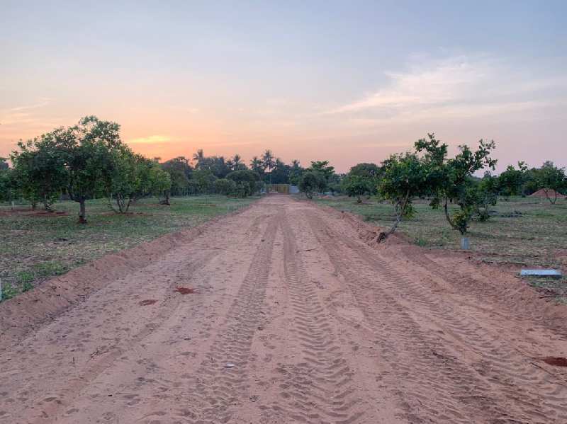 Residential Plot 4356 Sq.ft. for Sale in mathur road Pondicherry