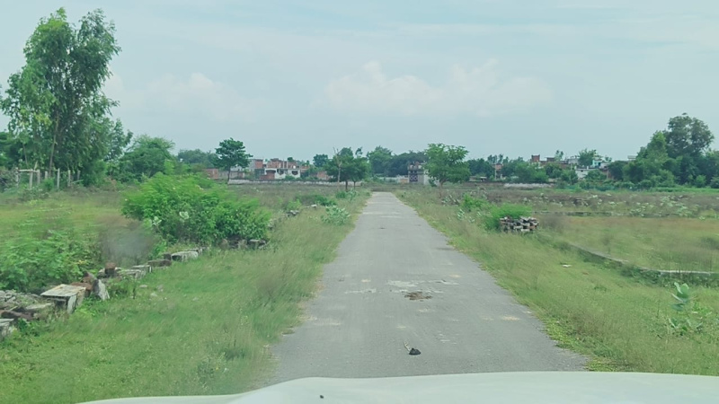  Residential Plot 1000 Sq.ft. for Sale in Sultanpur Road, Lucknow