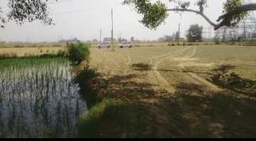  Agricultural Land for Sale in Jahangirpur, Gautam Buddha Nagar