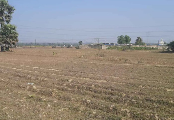  Agricultural Land for Sale in Suriya, Giridih