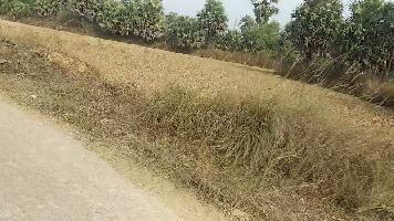  Commercial Land for Sale in Chas, Bokaro