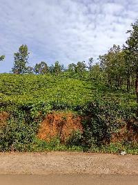  Agricultural Land for Sale in Udhagamandalam, Ooty
